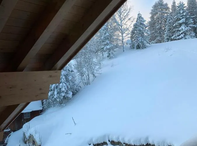 Antonia Апартаменти