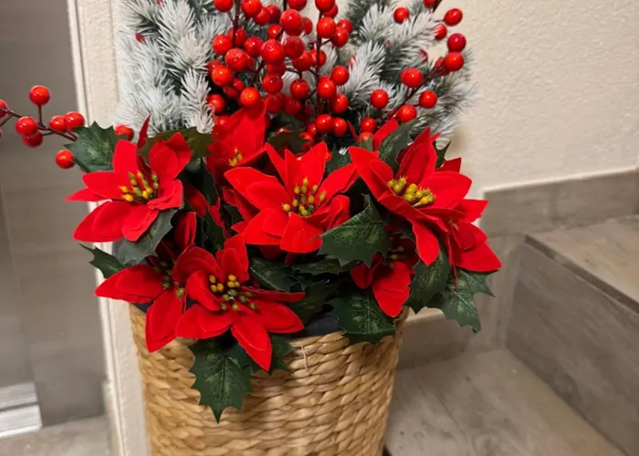 Antonia Апартаменти *