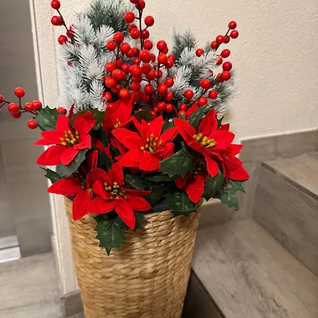 Antonia Appartement *