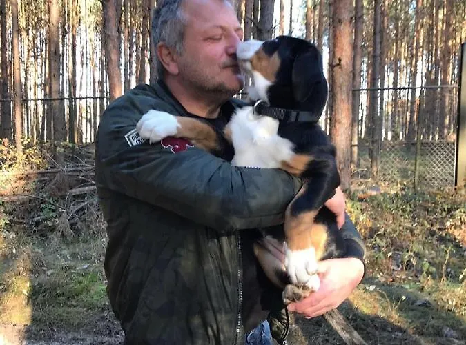 דירה Antonia זיפלד אין טירול